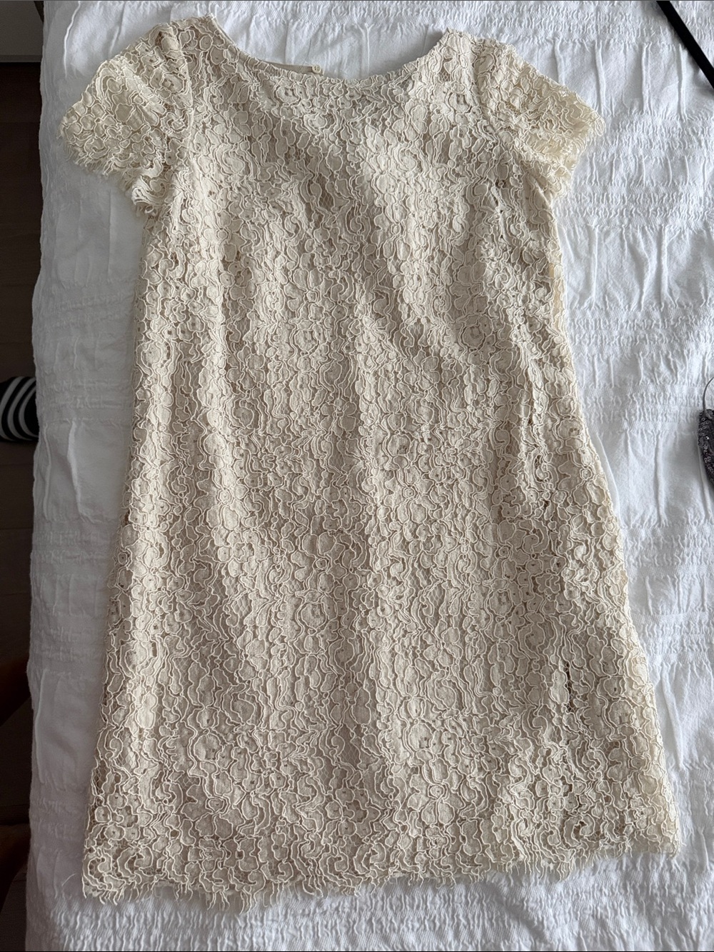 Zara Cream Floral Lace Short-Sleeve Dress